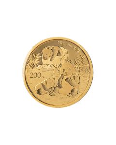 15G Chinese Panda Gullmynt 2025